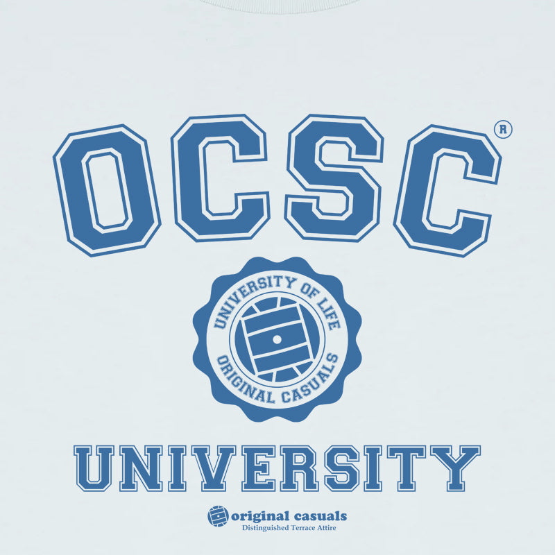University Of Casuals - Ice Blue Sweatshirt